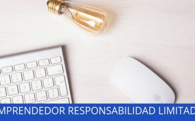 Emprendedor de Responsabilidad Limitada: Mejora ridícula de esta figura
