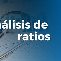 Ratios economicos